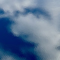 IMG_8813.jpeg
