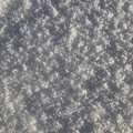 IMG_6394.jpeg