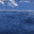 IMG_6399.jpeg