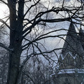 IMG_7982.jpeg