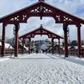 IMG_8002.jpeg