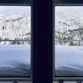 IMG_8280.jpeg