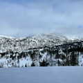IMG_8281.jpeg
