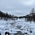 IMG_8316.jpeg
