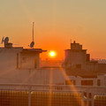 IMG_0677.jpeg