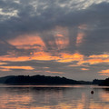 IMG_2115.jpeg