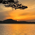 IMG_3791.jpeg