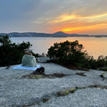 IMG_3803.jpeg