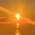 IMG_5286.jpeg