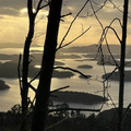 IMG_5670.jpeg
