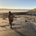 IMG_6436.jpeg