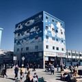IMG_7598.jpeg