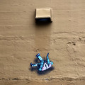 IMG_9494.jpeg